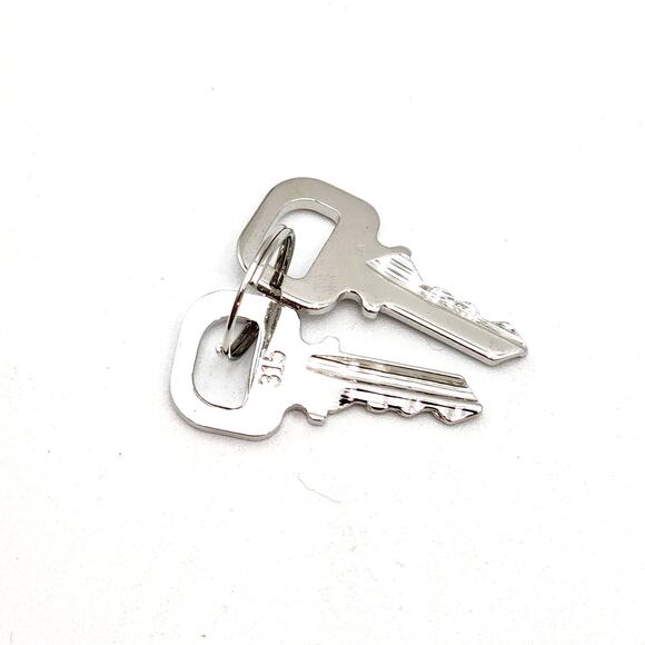 NEW! LOUIS VUITTON Silver Padlock and 2 Keys #315 - Picture 11 of 12